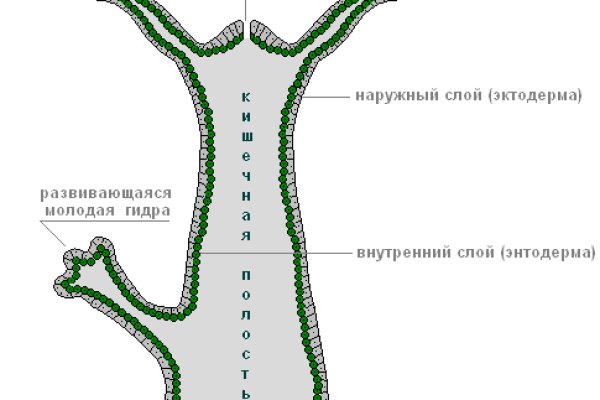 Кракен тор kraken clear com