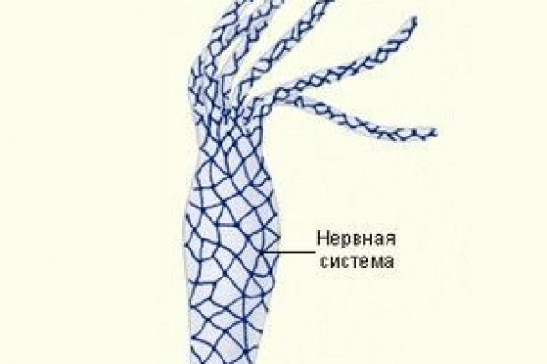 Как зарегистрироваться в кракен в россии