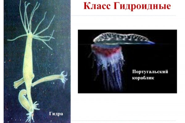 Магазин кракен как попасть