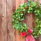 Омела: символика растения и рождественские традиции